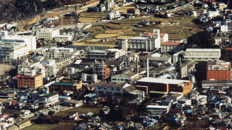 Ohito Head Office, Toyo Jozo Co., Ltd. (1989)