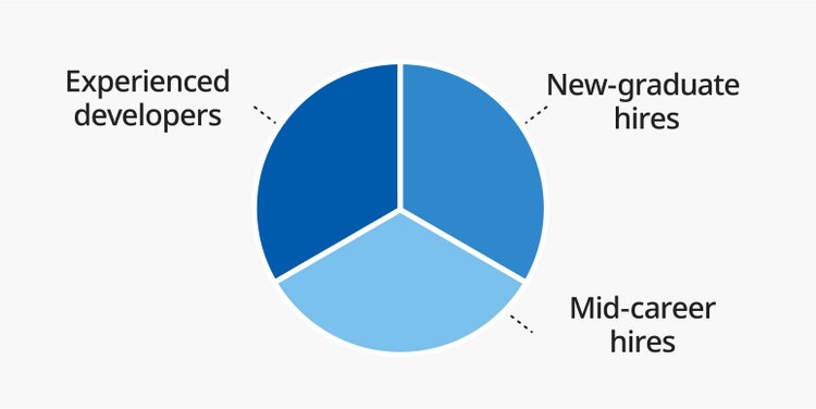 Pie chart showing the composition of new graduate hires, employees with development experience, and mid-career hires within the intellectual property organization, illustrating a well-balanced workforce with diverse professional backgrounds.