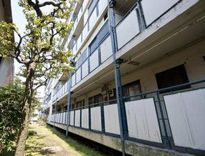 敷地南の庭からの外観