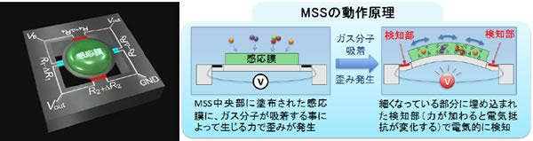 MSSの模式図：中央の感応膜に分子が吸着することによって生まれた表面応力を、周囲の4つのブリッジに埋め込まれた抵抗がすばやく検出する。