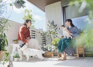 ご近所の方との交流