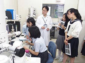 電子顕微鏡で卵の殻と卵殻膜を観察