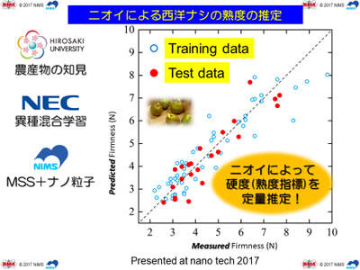 事例1）西洋ナシ：ニオイで熟成度を推定