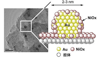 コアシェル型金－酸化ニッケルナノ粒子触媒の透過型電子顕微鏡像とナノ粒子の推定構造（断面図）