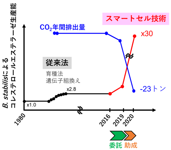 図1　研究開発の経過