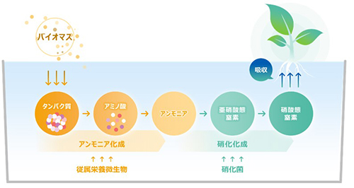 プロバイオポニックス技術のイメージ図