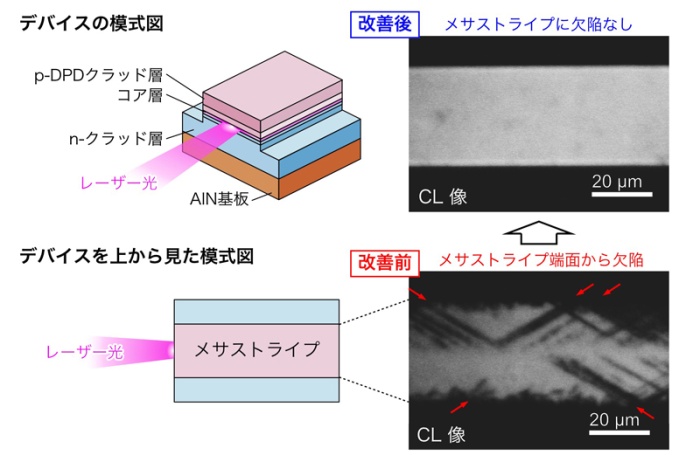 図1 メサストライプ端で観察される結晶欠陥とその制御。