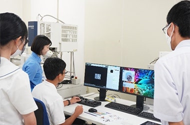 電子顕微鏡で卵の殻と卵隔膜を観察する