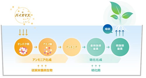 プロバイオポニックス技術のイメージ図