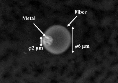 図1. 本システムで検知した繊維断面のSEM画像