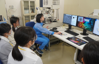 電子顕微鏡で卵の殻を観察