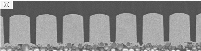 （c）めっき・レジスト剥離後パターン断面（めっきライン幅/スペース幅=3.0/1.0µm）