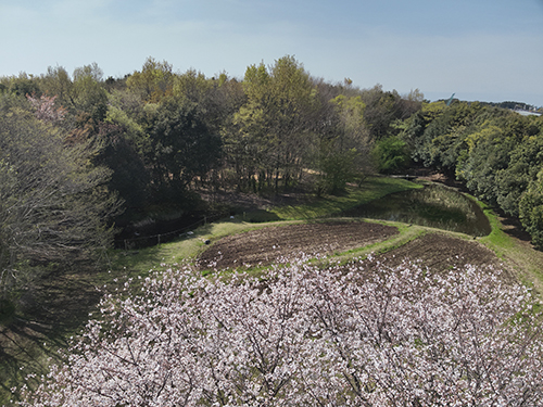 「あさひ・いのちの森」（2025年4月撮影）