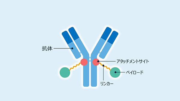 ADCイメージ図