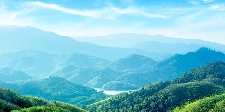Sustainability stock image