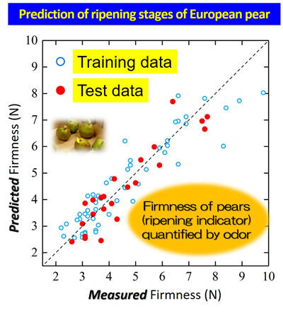 Example 1) Fruits and vegetables: Prediction of ripening stages by odor