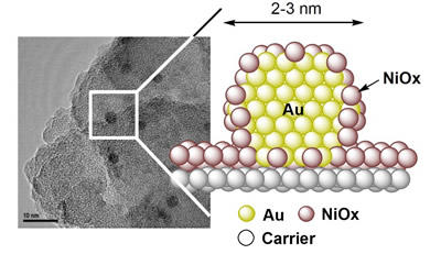 Typical transmission electron microscopy images of Au-NiOx nanoparticle catalysts and proposed structure of nanoparticles