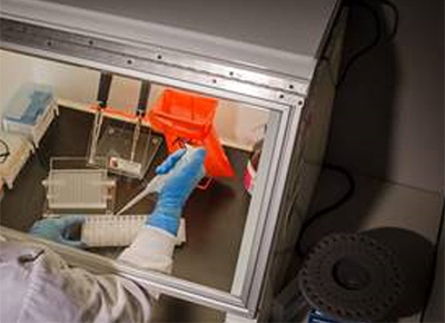 Lab technician at work