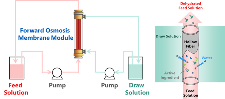 System Overview and Dehydration Mechanism