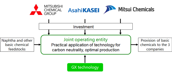 Conceptual diagram of the joint operating entity