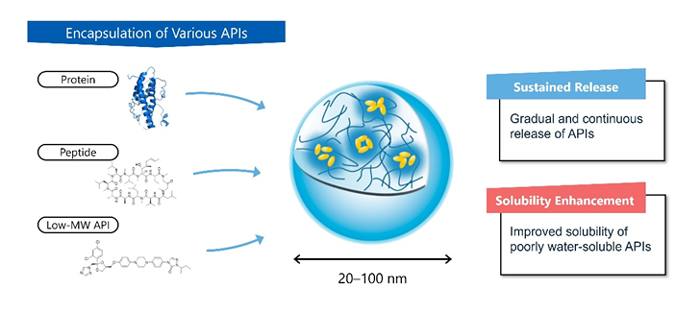 Sonanos™ nanogel structure and active pharmaceutical ingredient (API) encapsulation mechanism via hydrophobic interactions