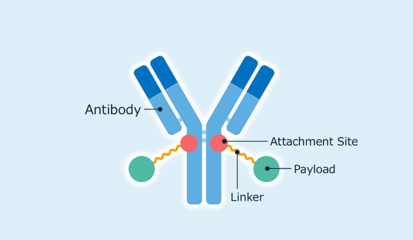 Configuration of an ADC