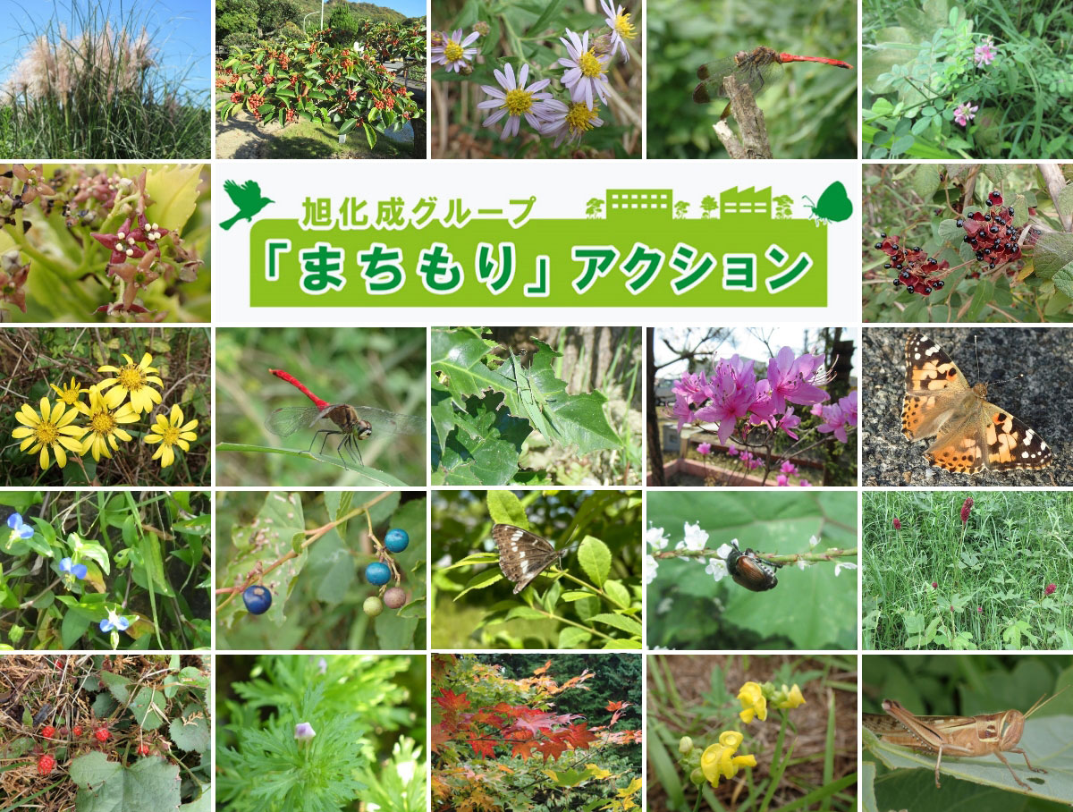 The Asahi Kasei Group’s “Town Woods” Program