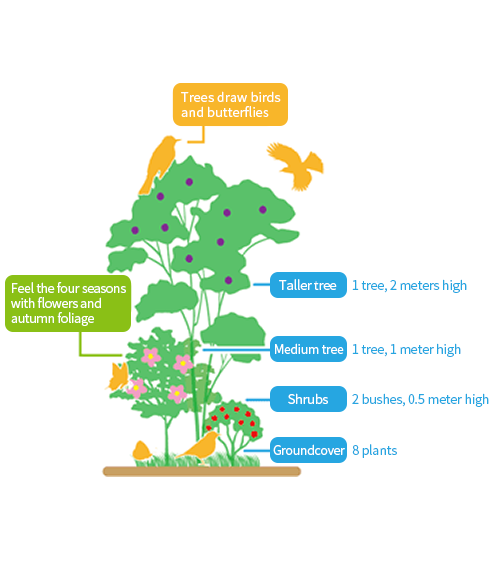 Trees draw birds and butterflies / Feel the four seasons with flowers and autumn foliage / Taller tree 1 tree, 2 meters high / Medium tree 1 tree, 1 meter high / Shrubs 2 bushes, 0.5 meter high / Groundcover 8 plants