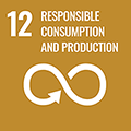 12 Sustainable Consumption and Production