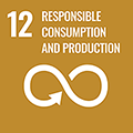 12 RESPONSIBLE CONSUMPTION & PRODUCTION