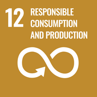 12 RESPONSIBLE CONSUMPTION & PRODUCTION