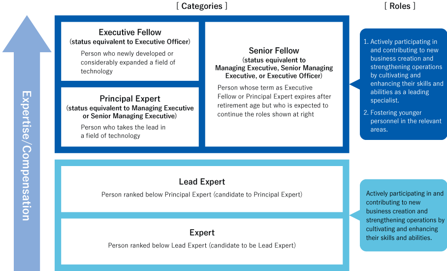 	[Categories] Executive Fellow (status equivalent to Executive Officer):Person who newly developed or considerably expanded a field of technology Principal Expert(status equivalent to Managing Executive or Senior Managing Executive):Person who takes the lead in a field of technology Senior Fellow(status equivalent to Managing Executive, Senior Managing Executive, or Executive Officer):Person whose term as Executive Fellow or Principal Expert expires after retirement age but who is expected to continue the roles shown at right [Roles] 1. Actively participating in and contributing to new business creation and strengthening operations by cultivating and enhancing their skills and abilities as a leading specialist. 2. Fostering younger personnel in the relevant areas. ［Categories］Lead Expert:Person ranked below Principal Expert(candidate to be Principal Expert) Expert: Person ranked below Lead Expert(candidate to be Lead Expert) [Roles] Actively participating in and contributing to new business creation and strengthening operations by cultivating and enhancing their skills and abilities. Expertise/Compensation